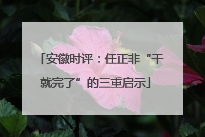 安徽时评：任正非“干就完了”的三重启示